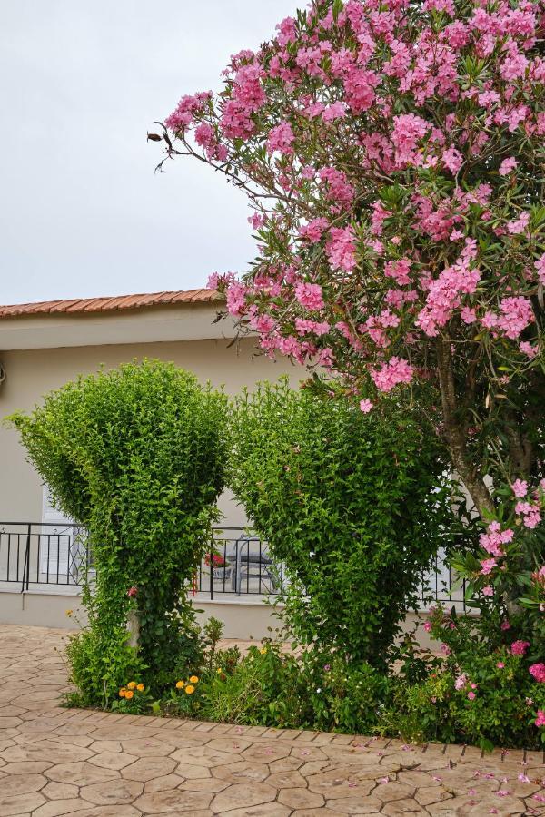 Villa Agathi Ρόδα Εξωτερικό φωτογραφία