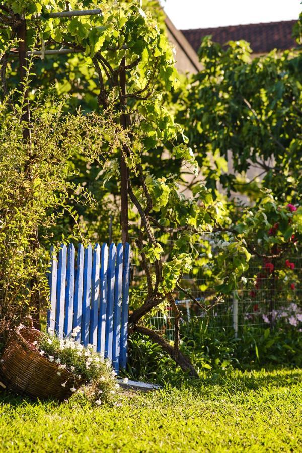 Villa Agathi Ρόδα Εξωτερικό φωτογραφία