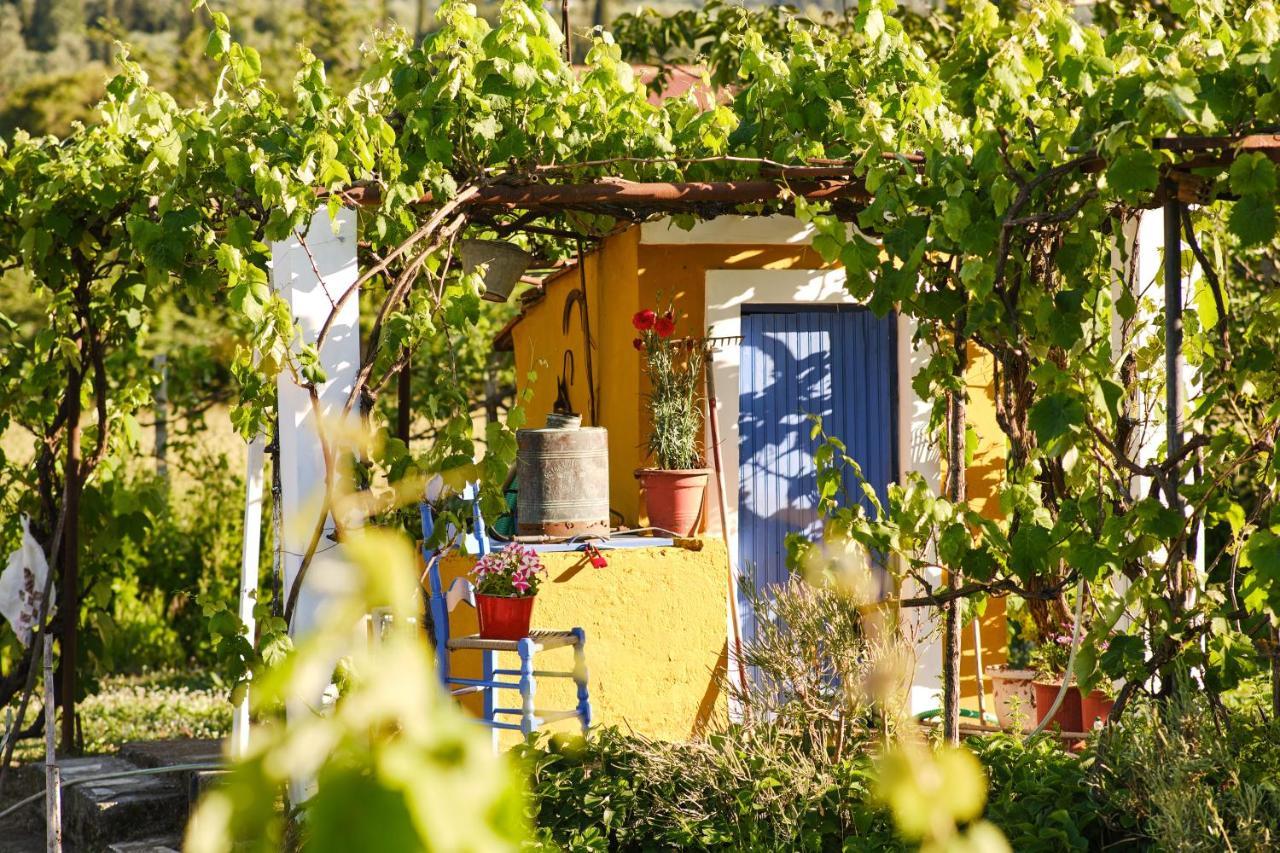 Villa Agathi Ρόδα Εξωτερικό φωτογραφία
