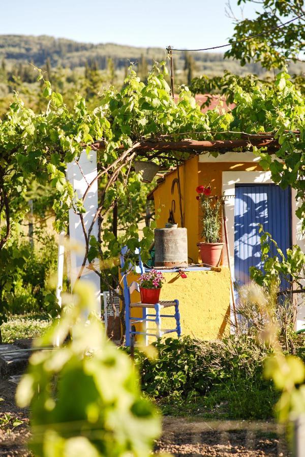 Villa Agathi Ρόδα Εξωτερικό φωτογραφία
